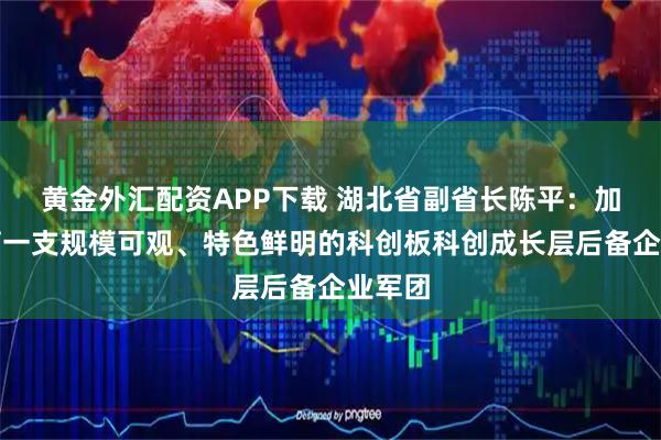 黄金外汇配资APP下载 湖北省副省长陈平：加快培育一支规模可观、特色鲜明的科创板科创成长层后备企业军团