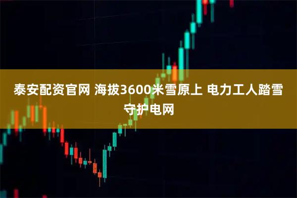 泰安配资官网 海拔3600米雪原上 电力工人踏雪守护电网