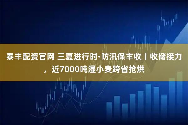泰丰配资官网 三夏进行时·防汛保丰收丨收储接力，近7000吨湿小麦跨省抢烘